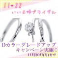 【いい夫婦ブライダル】Ｄカラーグレードアップキャンペーン!