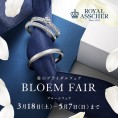 【オペラ全店】ROYAL ASSCHER fair