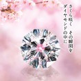 【杢目金屋】桜が浮かび上がる『さくらダイヤモンド』