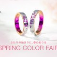 【SORA】SPRING COLOR FAIR 開催！