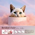 【AFFLUX】ブライダルフェア開催中！